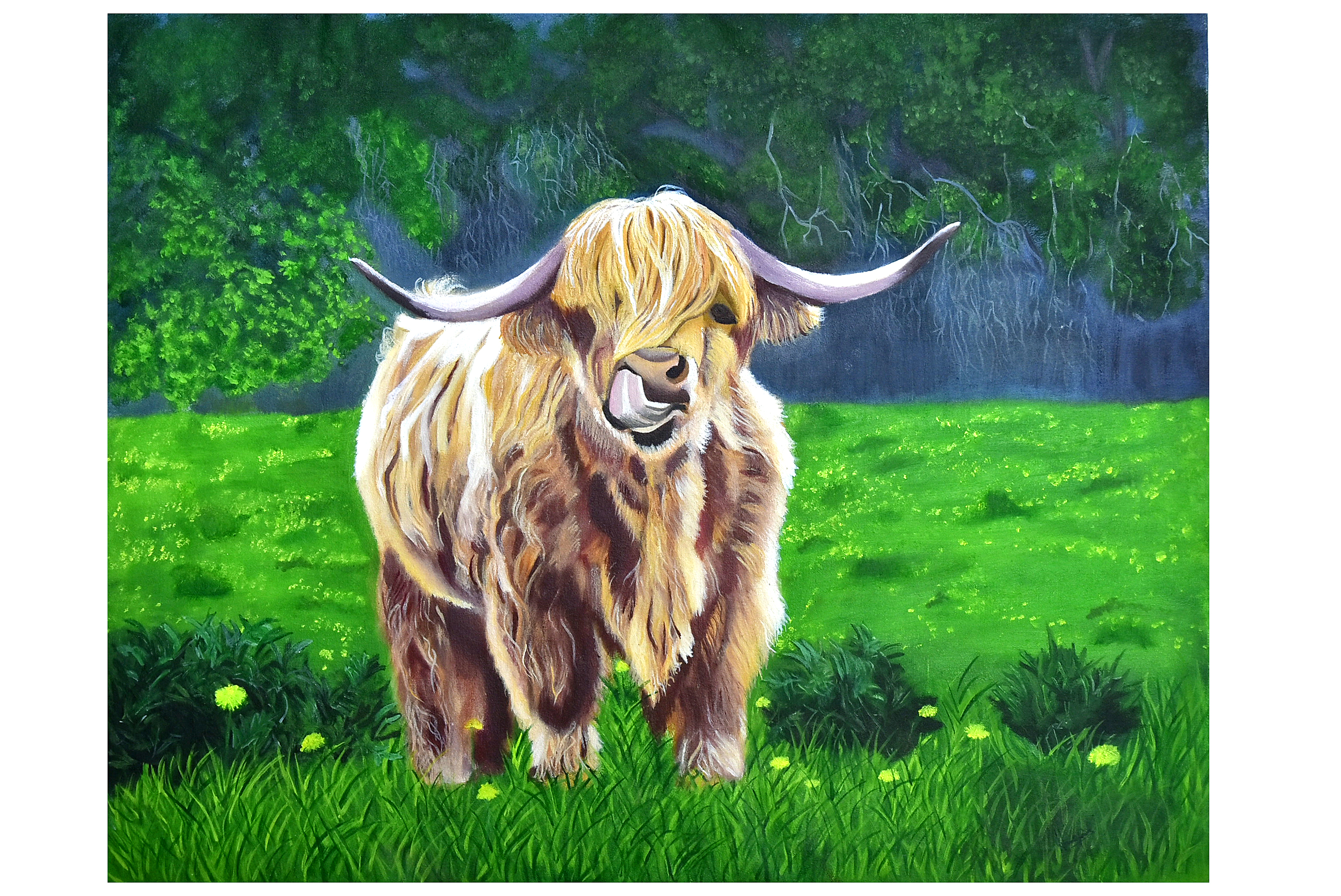 A wild bull on grassland oil on canvas